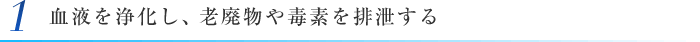 1 血液を浄化し、老廃物や毒素を排泄する